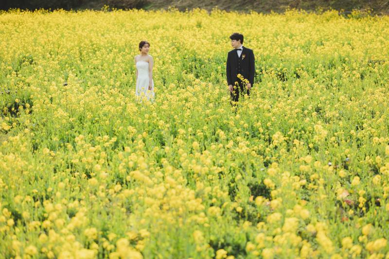 静岡旅行✖️フォトウェディング