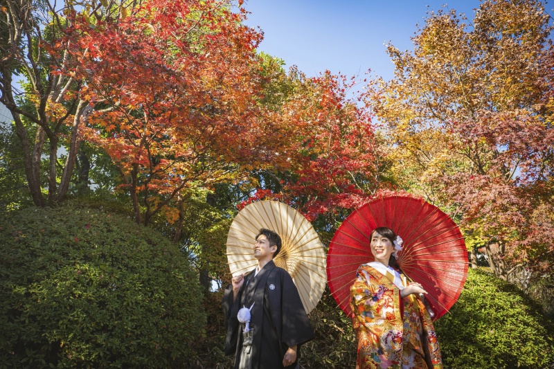 紅葉の撮影のご予約するなら今がチャンスです！