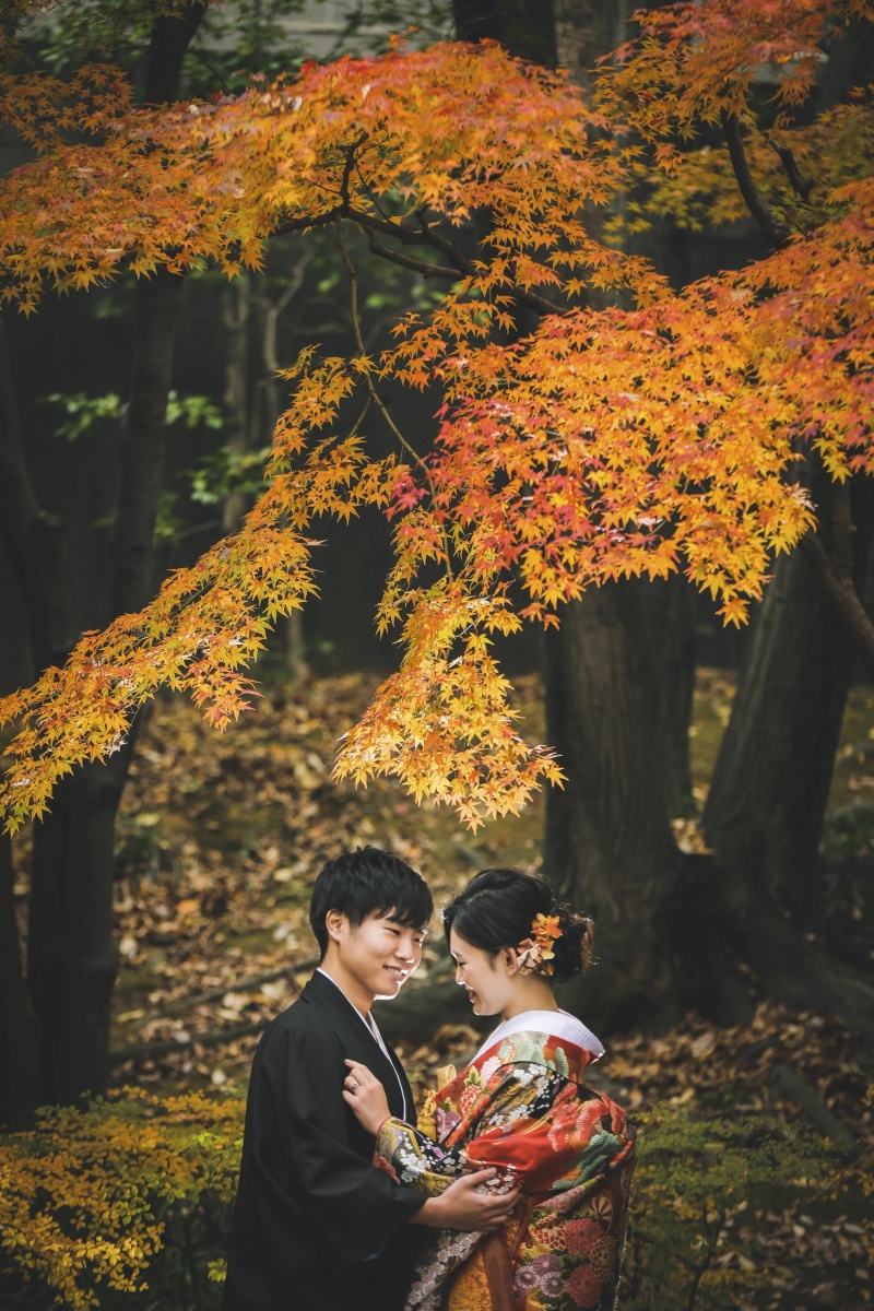紅葉の撮影のご予約するなら今がチャンスです！