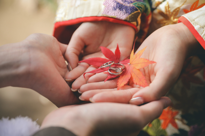 まもなくな紅葉撮影のご案内◎