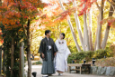 池田山公園紅葉ロケーション撮影!