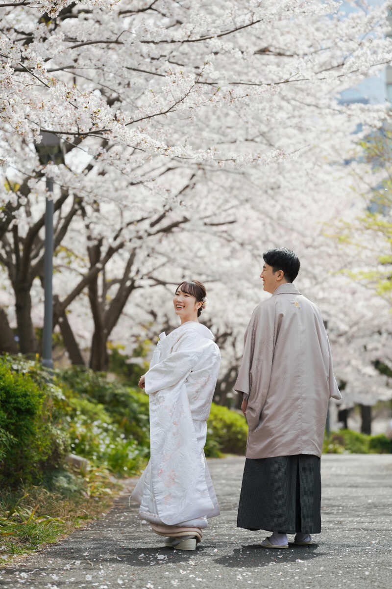 桜ロケ地のご紹介