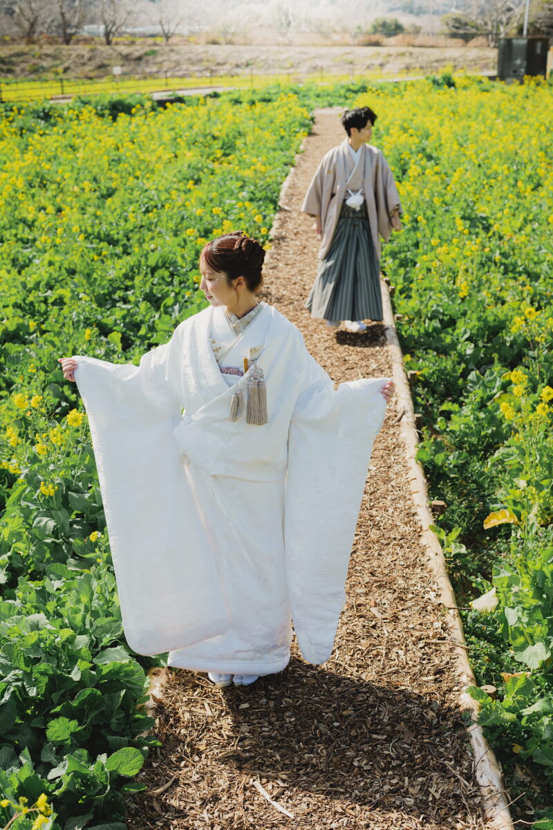 河津の菜の花に包まれる、春の和装フォト
