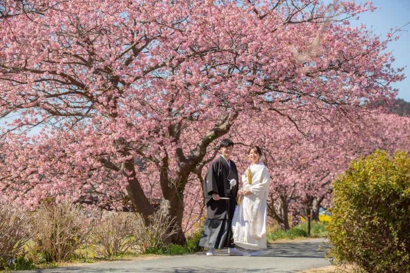 河津桜和装ロケーション♪