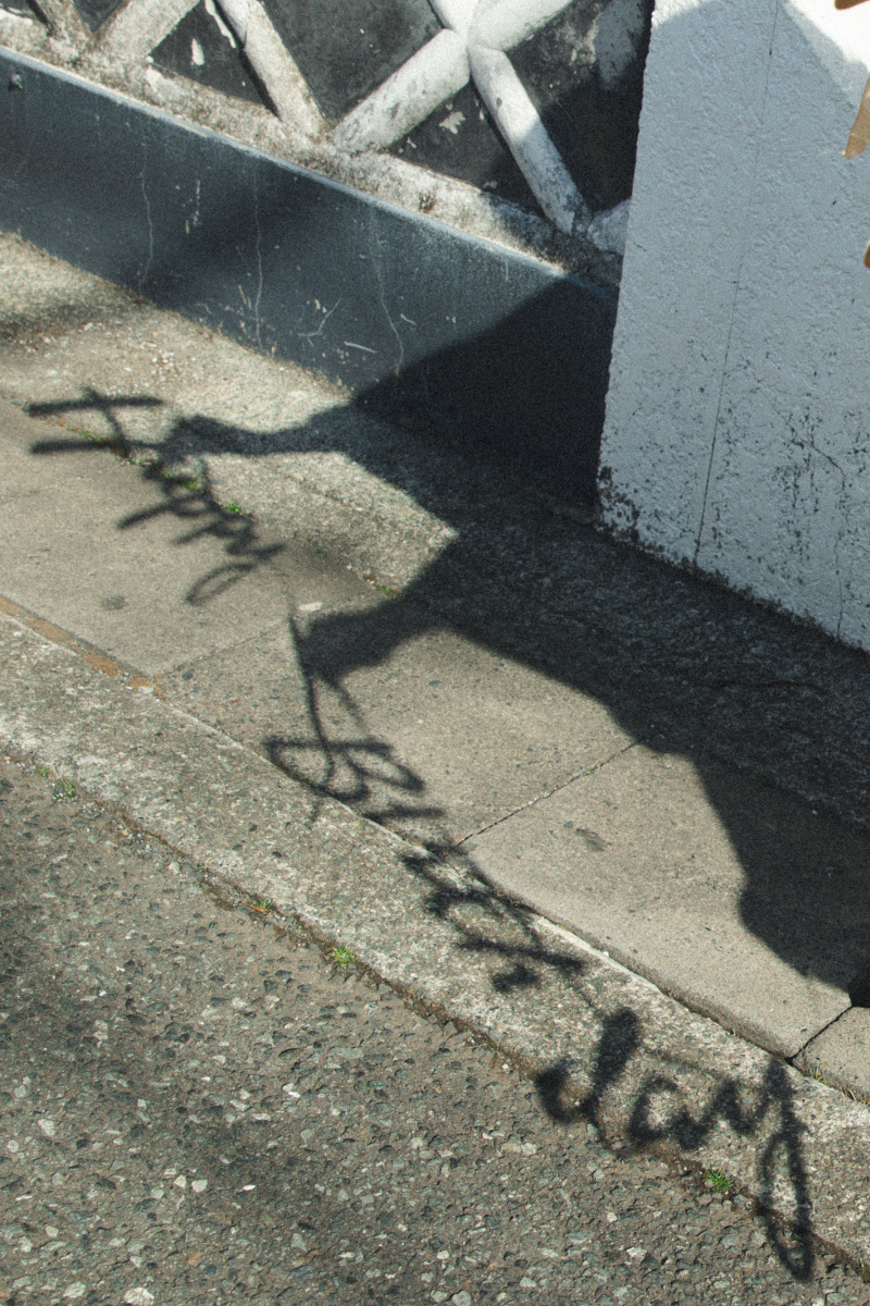 期間限定★伊豆撮影