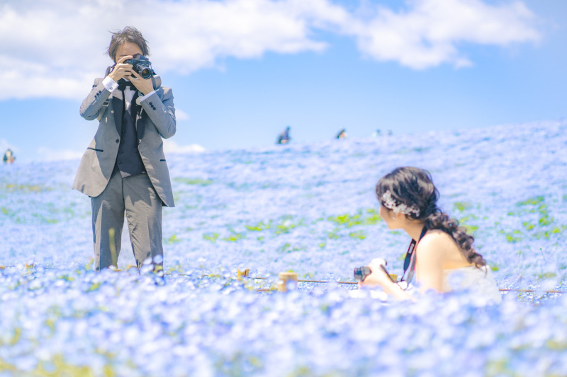 4月はネモフィラ撮影もおススメin国営ひたち海浜公園♪