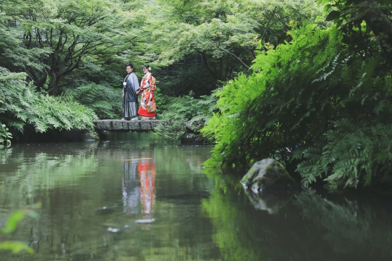 新緑の公園
