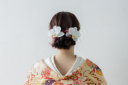 胡蝶蘭ヘアアレンジ