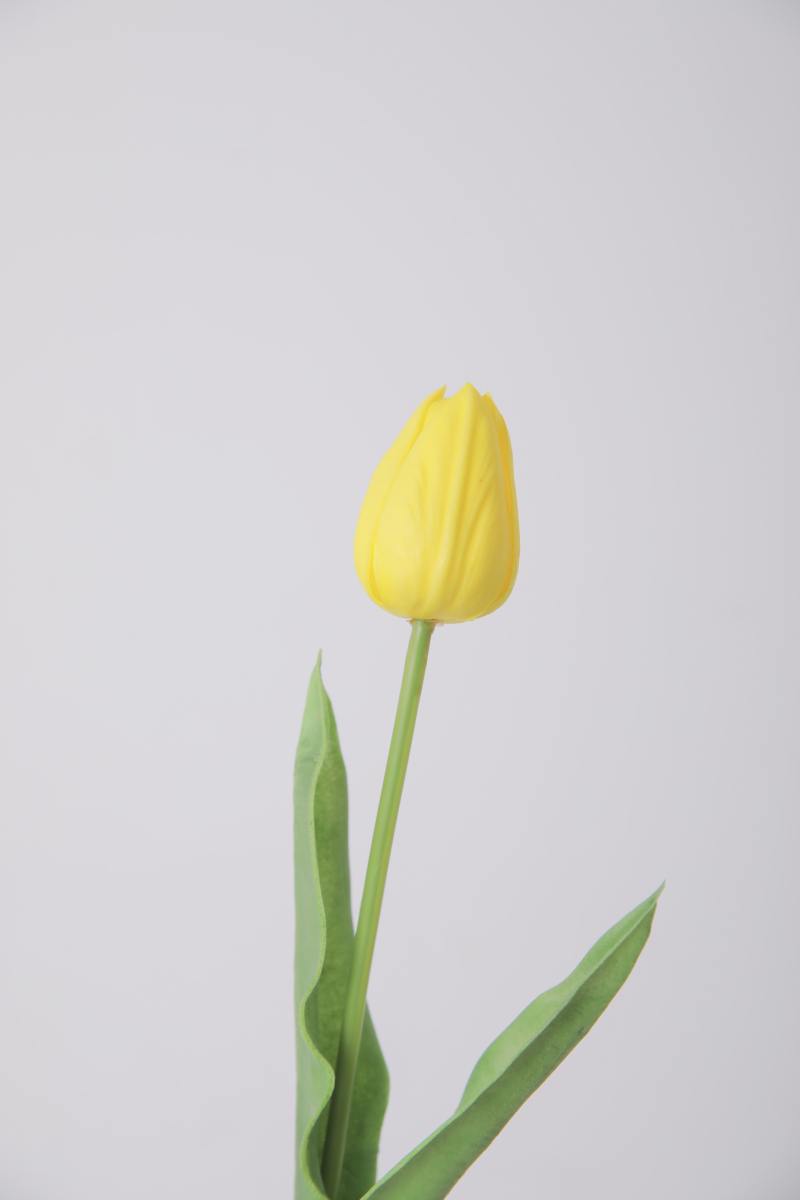 可愛いお花と撮影＾＾