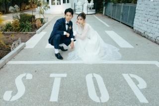 新プラン登場！