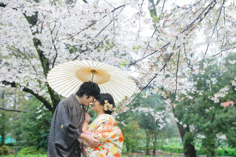 桜ロケ地のご紹介