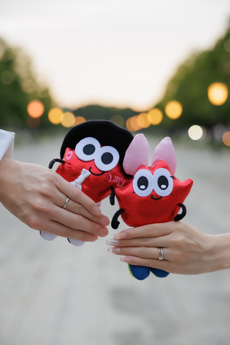 東京周遊ロケーション