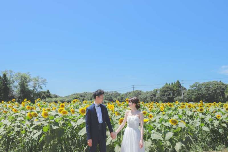 お花畑で楽しく撮影! at 成田ゆめ牧場♪