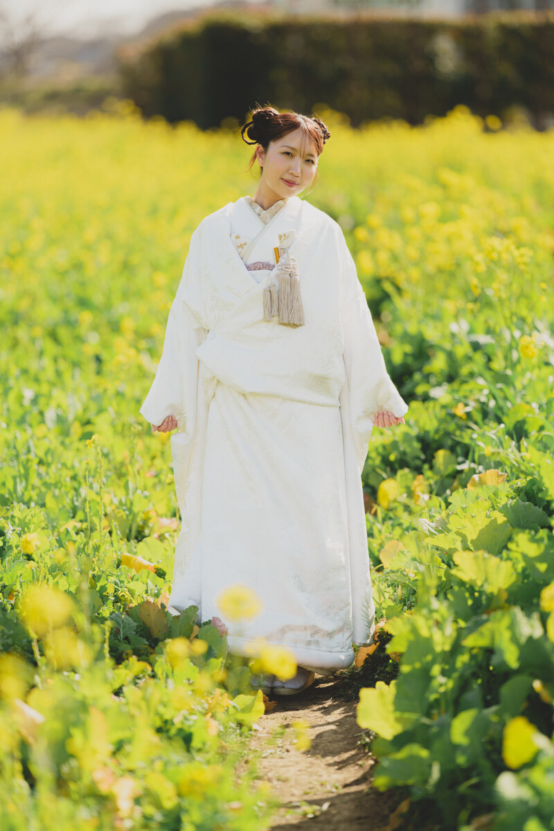 河津の菜の花に包まれる、春の和装フォト