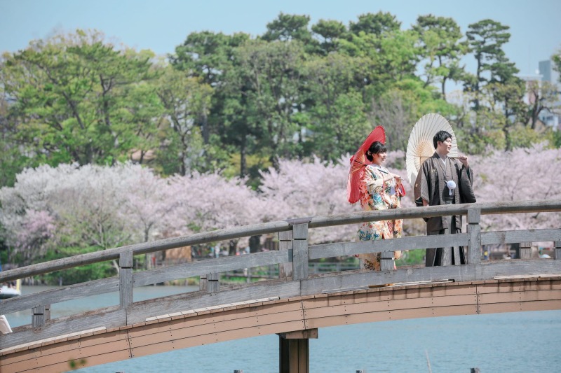 桜ロケ地のご紹介