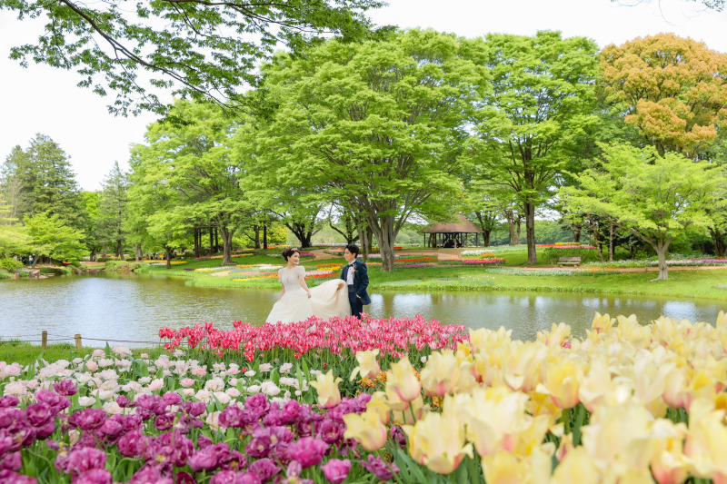 昭和記念公園と和庭園プランがおすすめ