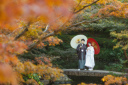 池田山の紅葉が見頃です！