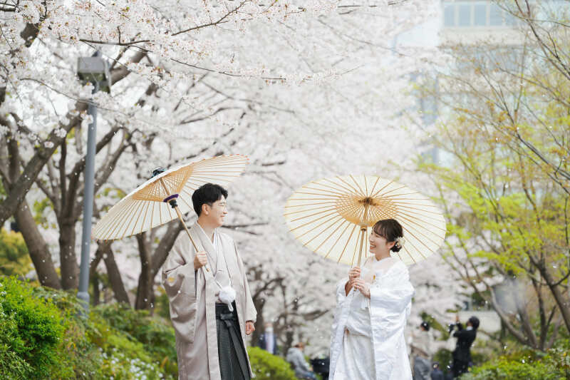 桜ロケ地のご紹介