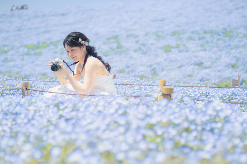 4月はネモフィラ撮影もおススメin国営ひたち海浜公園♪