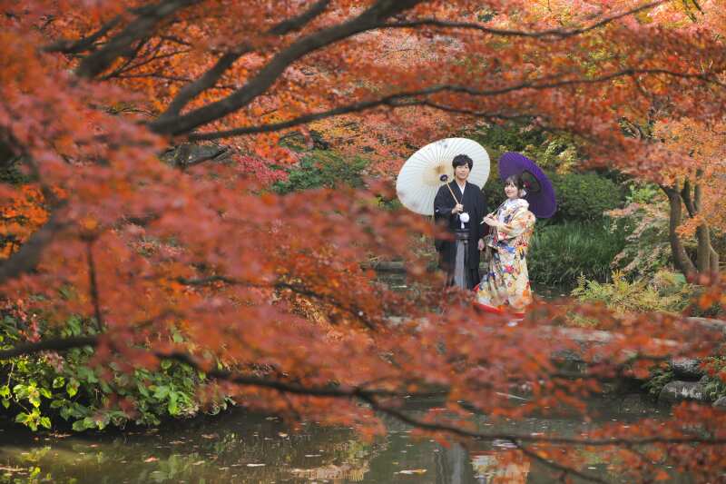 紅葉の撮影のご予約するなら今がチャンスです！