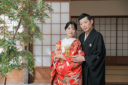 屋内庭園で色鮮やかな撮影を