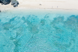 新型コロナウイルス対策プラン実施中♪