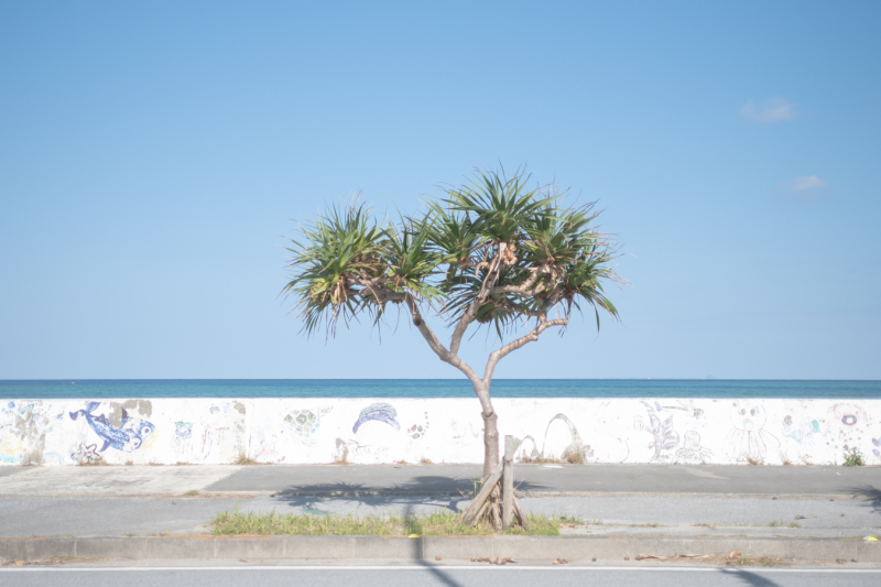 明けましておめでとうございます♪