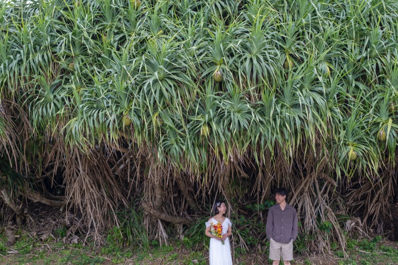 【ouchiの庭】とは、なんのこと??