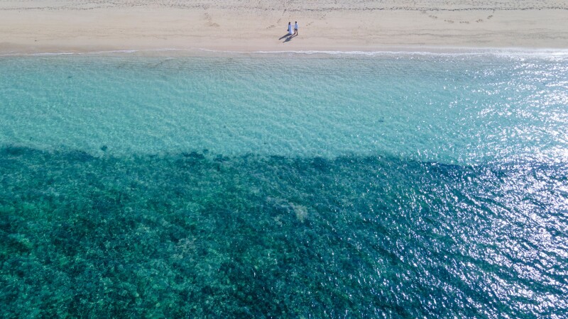 海外からお越しのお客様♪
