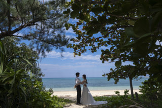 結婚式のオープニングで使える♪【シネマムービーのご紹介】