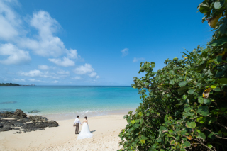 撮影が雨の時、どうなるの?