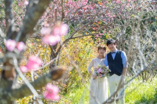 この時期おすすめの沖縄で桜と一緒に撮影するフォトウェディング!