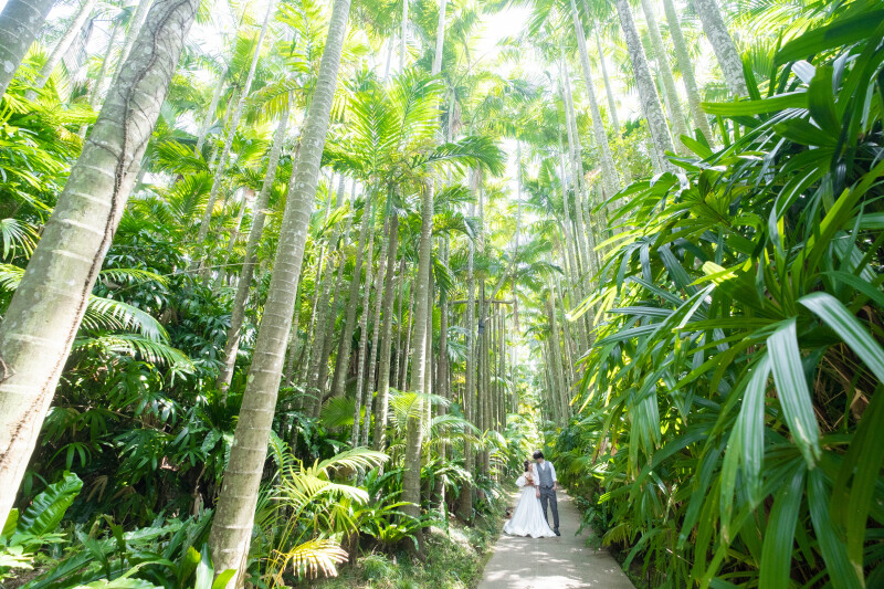 2箇所目の撮影地に困ったらおすすめ【東南植物楽園】をご紹介♪