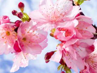 新パンフレット完成しました♪