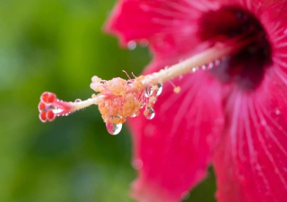 撮影当日が雨。。。雨天延期の場合どうなるの？