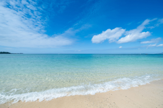 オンライン打ち合わせ♪