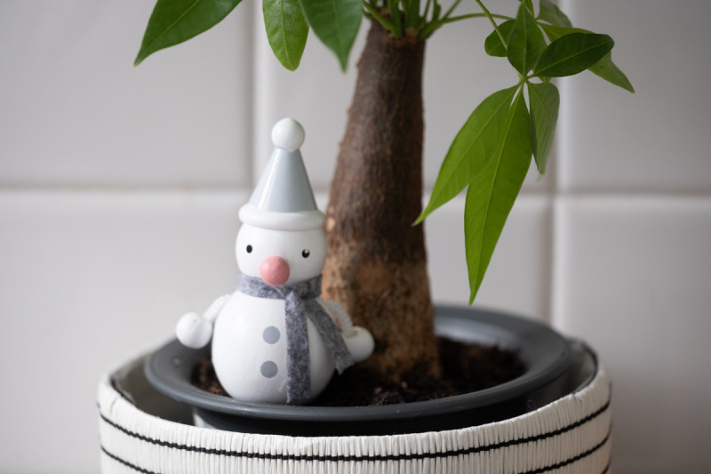 photo studio ouchiがクリスマス仕様に♪