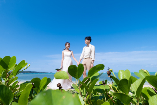 今日のこの1枚。