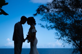 ouchi最安値プランが登場!