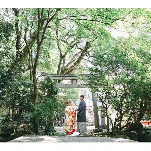 新緑の撮影レポート