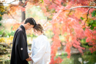紅葉早割、はじまっています！
