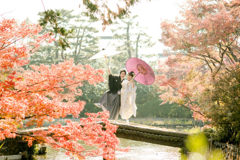 紅葉ご予約状況と 梅宮大社の紅葉前撮り♪