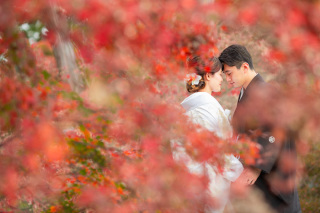 紅葉早割・京都前撮りだより☆
