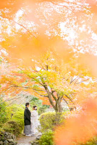 紅葉前撮り 残り僅かです！
