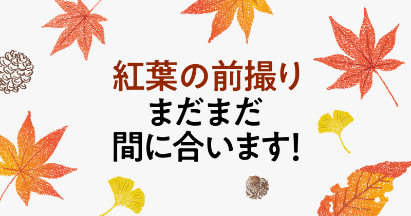 まだまだ間に合う、 紅葉前撮り♪