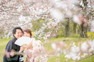 桜早割で 春の京都前撮り♪♪