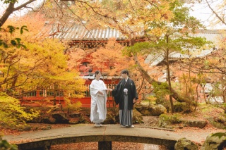 秋の婚礼前撮り、まだ間に合います！紅葉シーズン撮影の魅力をご紹介
