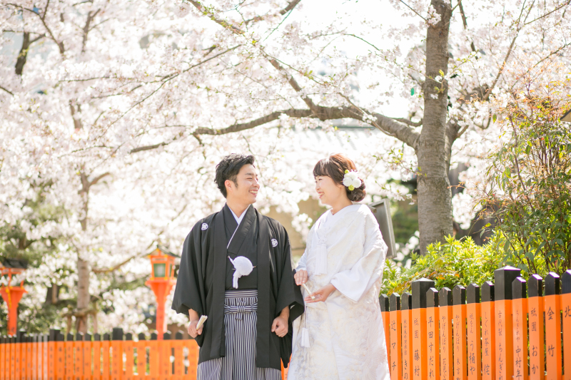 桜早割、 実施中です♪♪
