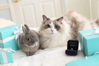 aimで叶う家族撮影