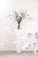 春婚さん必見!桜を使用した背景をご紹介